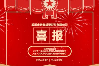 热烈祝贺公司创新项目入选《武汉中小企业专精特新案例集》